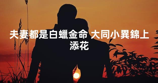 夫妻都是白蠟金命 大同小異錦上添花